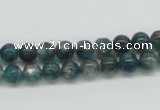 CKC16 16 inches 6mm round natural kyanite beads wholesale