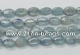 CKC203 15.5 inches 6*8mm oval natural kyanite beads wholesale