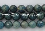 CKC223 15.5 inches 10mm faceted round natural kyanite beads wholesale