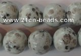 CKW06 15.5 inches 16mm round kiwi jasper gemstone beads