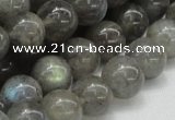 CLB05 16 inches 14mm round labradorite gemstone beads wholesale