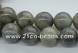 CLB102 15.5 inches 14mm round labradorite gemstone beads wholesale