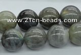 CLB103 15.5 inches 16mm round labradorite gemstone beads wholesale