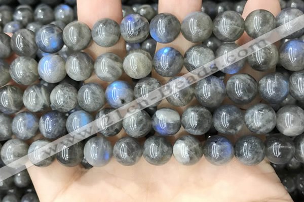 CLB1034 15.5 inches 10mm round labradorite beads wholesale