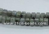 CLB104 15.5 inches 5*8mm rondelle labradorite gemstone beads wholesale