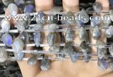 CLB1044 Top drilled 8*12mm faceted briolette labradorite beads