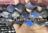 CLB1047 15.5 inches 18*22mm - 20*25mm faceted freeform labradorite beads