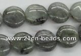 CLB106 15.5 inches 14mm flat round labradorite gemstone beads wholesale