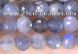 CLB1070 15.5 inches 4mm faceted round labradorite beads