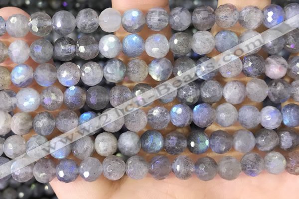 CLB1073 15.5 inches 8mm faceted round labradorite beads