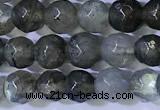 CLB1094 15.5 inches 4mm faceted round labradorite gemstone beads