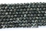 CLB1210 15.5 inches 4mm faceted round black labradorite gemstone beads