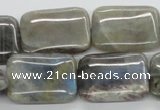 CLB124 15.5 inches 18*25mm rectangle labradorite gemstone beads wholesale