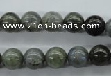 CLB129 15.5 inches 10mm round labradorite gemstone beads wholesale