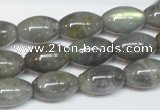 CLB151 15.5 inches 10*16mm rice labradorite gemstone beads