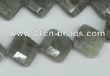 CLB182 15.5 inches 14*14mm faceted diamond labradorite beads