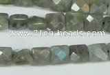 CLB199 15.5 inches 10*10mm faceted square labradorite beads