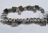 CLB222 Top drilled 15*25mm - 25*30mm freeform labradorite beads