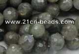 CLB23 15.5 inches 10mm faceted round labradorite gemstone beads