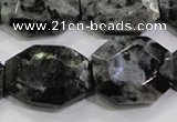 CLB325 15.5 inches 20*25mm octagonal black labradorite beads