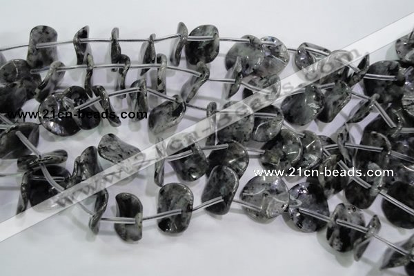 CLB326 Top-drilled 20mm wavy coin black labradorite beads