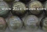 CLB608 15.5 inches 20mm round AB-color labradorite beads