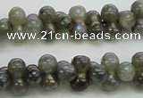 CLB630 15.5 inches 4*9mm bone AB-color labradorite beads