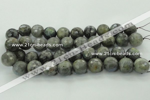 CLB715 15.5 inches 20mm faceted round labradorite gemstone beads