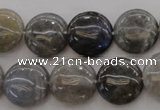 CLB74 15.5 inches 15mm flat round labradorite beads wholesale