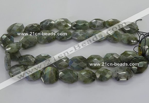 CLB767 15.5 inches 13*18mm - 18*25mm faceted freeform labradorite beads