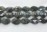 CLB798 20*28mm - 22*32mm faceted octagonal labradorite beads