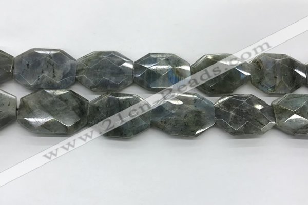 CLB799 25*30mm - 25*35mm faceted octagonal labradorite beads