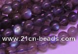 CLB812 15 inches 6mm round blue labradorite gemstone beads