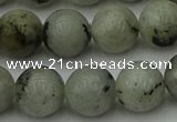 CLB854 15.5 inches 12mm round AB grade labradorite beads wholesale