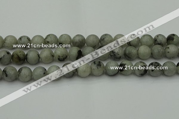 CLB855 15.5 inches 14mm round AB grade labradorite beads wholesale