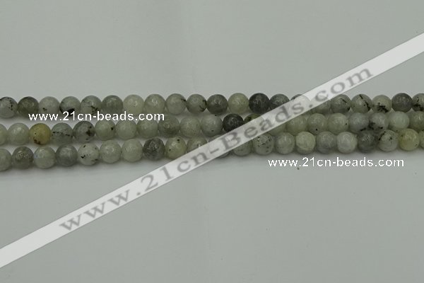 CLB860 15.5 inches 4mm faceted round AB grade labradorite beads