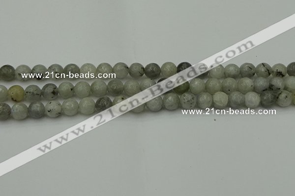 CLB862 15.5 inches 8mm faceted round AB grade labradorite beads