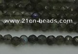 CLB900 15.5 inches 4mm faceted round labradorite gemstone beads