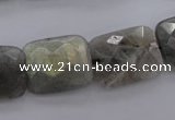 CLB95 15.5 inches 15*20mm faceted rectangle labradorite beads