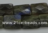 CLB963 15.5 inches 15*20mm faceted rectangle labradorite beads