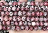 CLJ506 15.5 inches 4mm,6mm,8mm,10mm & 12mm round sesame jasper beads