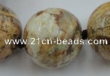 CLS50 15.5 inches 30mm round large picture jasper beads