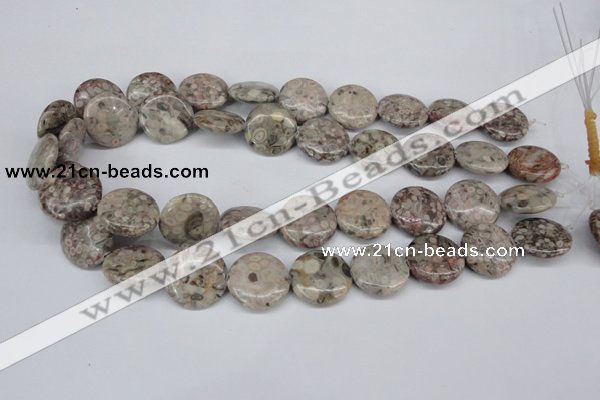 CMB11 15.5 inches 20mm flat round natural medical stone beads