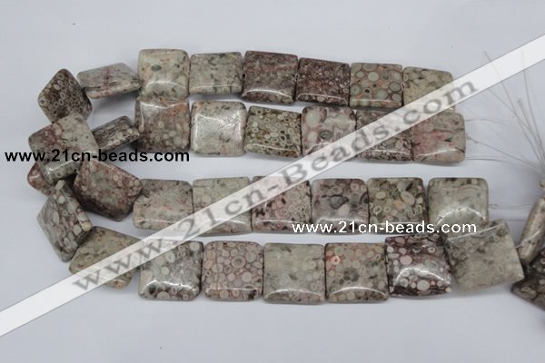 CMB23 15.5 inches 25*25mm square natural medical stone beads