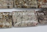 CMB28 15.5 inches 20*30mm rectangle natural medical stone beads