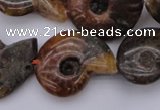 CMM01 15.5 inches 13*18mm - 30*35mm carved ammonite gemstone beads