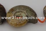 CMM02 15.5 inches 18*25mm - 35*45mm carved ammonite gemstone beads