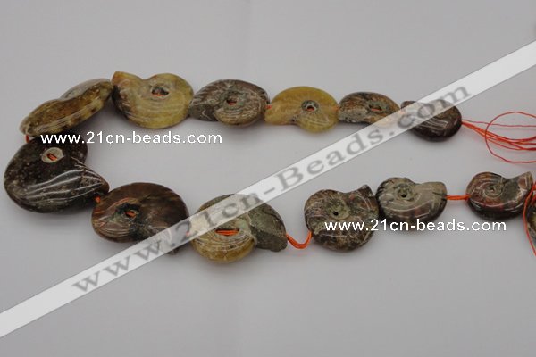 CMM02 15.5 inches 18*25mm - 35*45mm carved ammonite gemstone beads