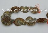 CMM03 15.5 inches 35*45mm - 45*55mm carved ammonite gemstone beads