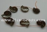 CMM05 15.5 inches 30*35mm - 35*40mm carved ammonite gemstone beads